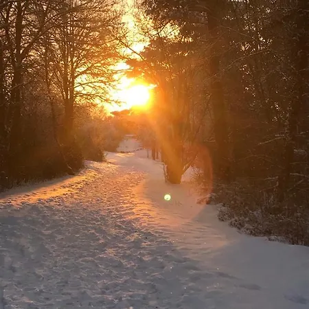 아파트 Goetz 바드리에벤젤